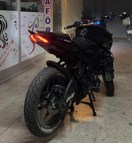 Pulsar NS200 Arka Görünüm
